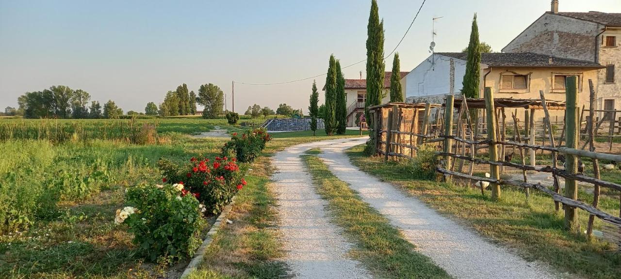 San Pietro B&B App 5 Castel Goffredo Екстер'єр фото